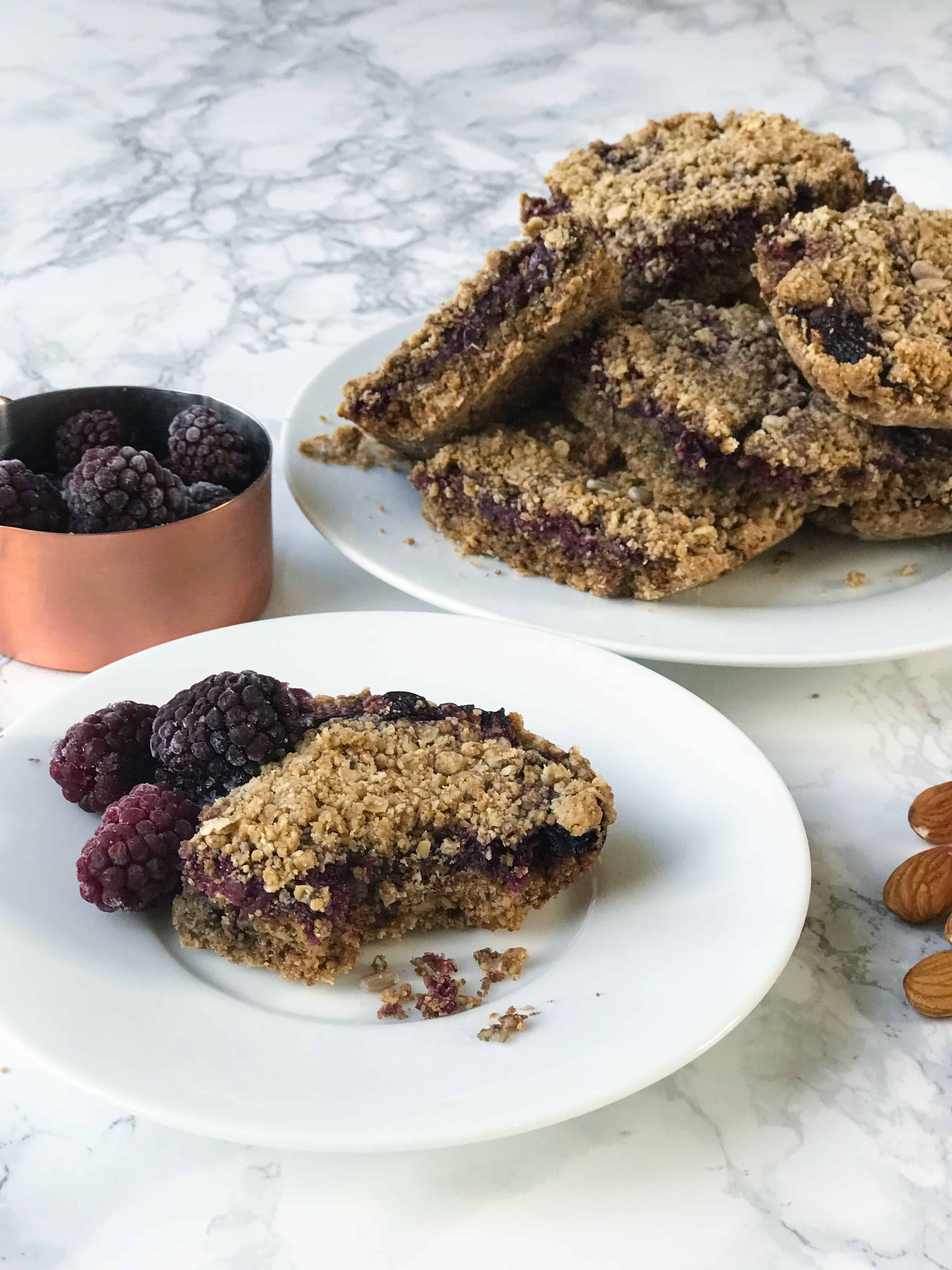VEGAN OATY BERRY CRUMBLE BARS