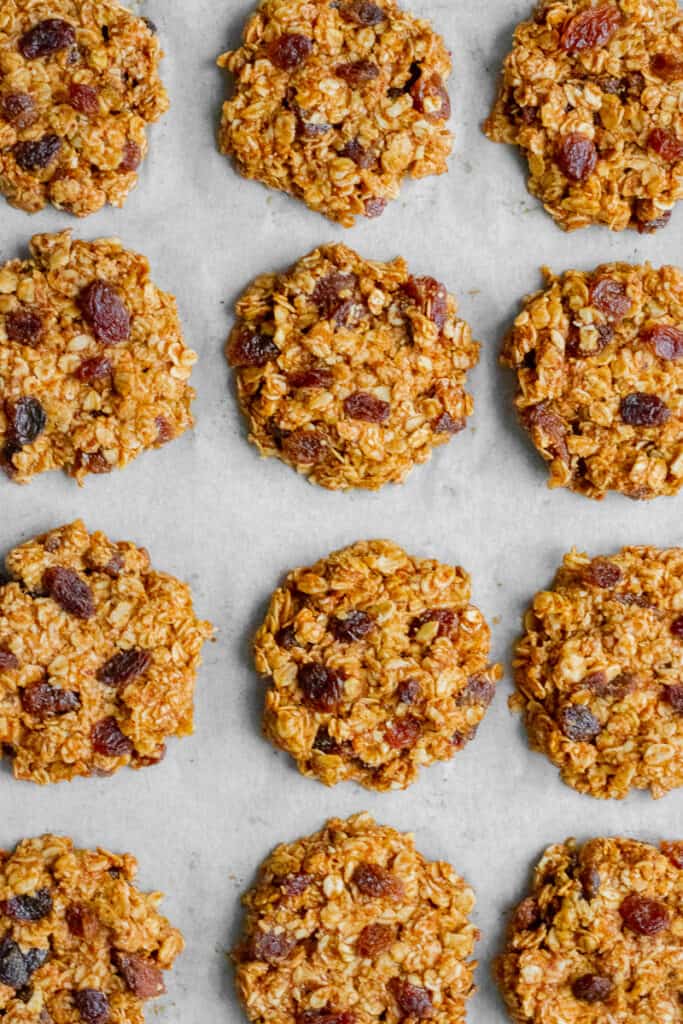Flattened balls of cookie mixture topped with raisins on a baking sheet.