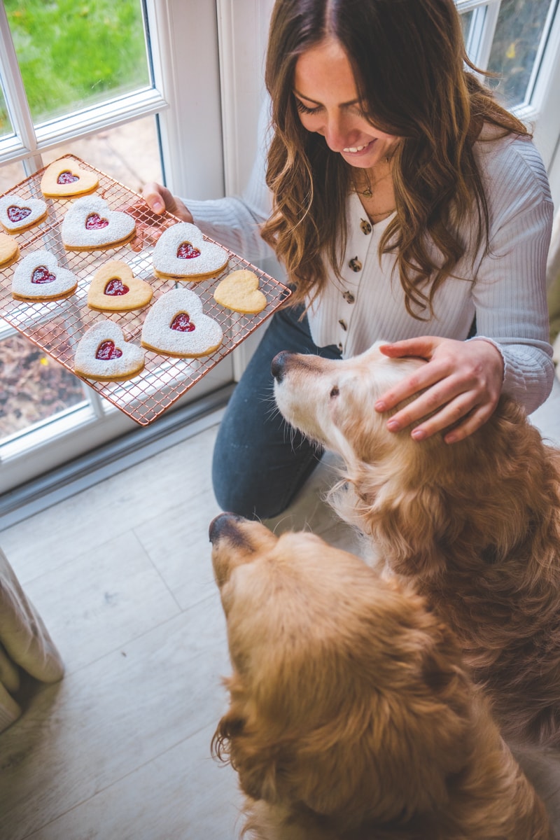 Georgie with her Valentine Heart Biscuits & golden retrievers