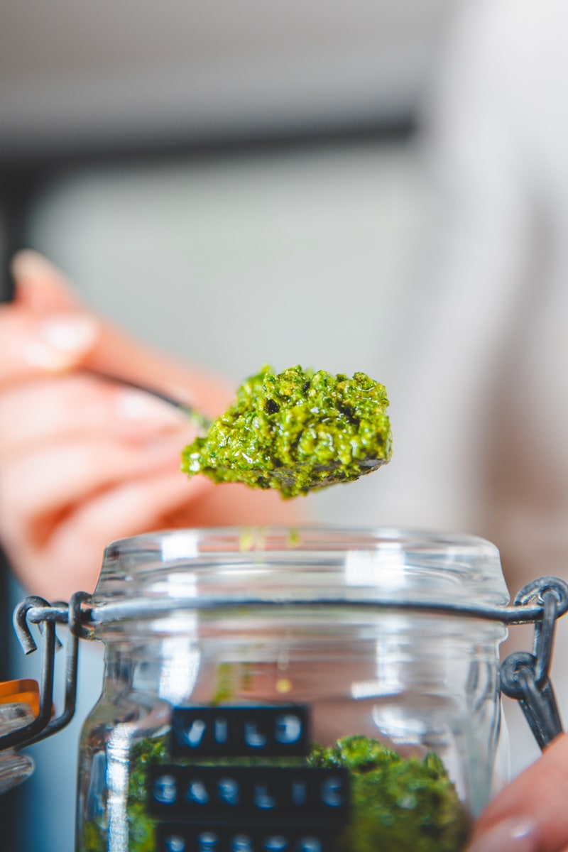 Wild Garlic Pesto - Georgie Eats