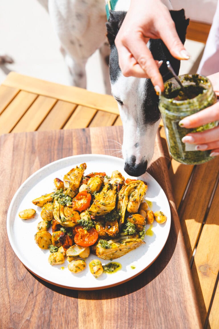 Eating the Fennel & Salsa Verde Traybake Salad - Georgie Eats