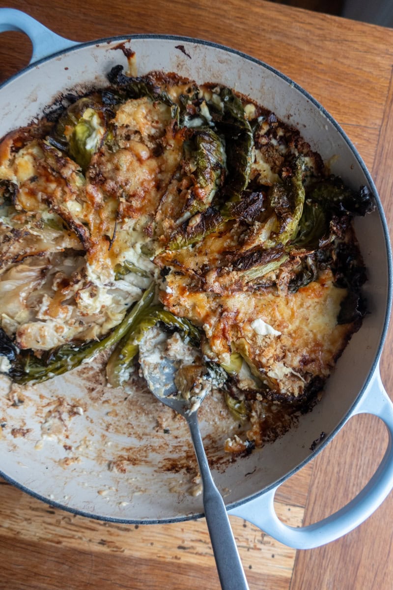 JANUARY KING CABBAGE GRATIN